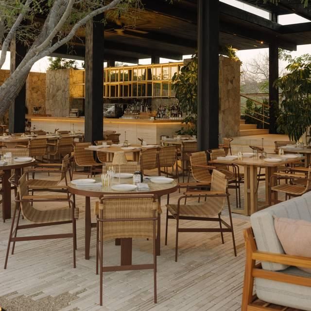 Ballena (Casa Ballena) - International / Contemporary restaurant in San Jose del Cabo, Los Cabos