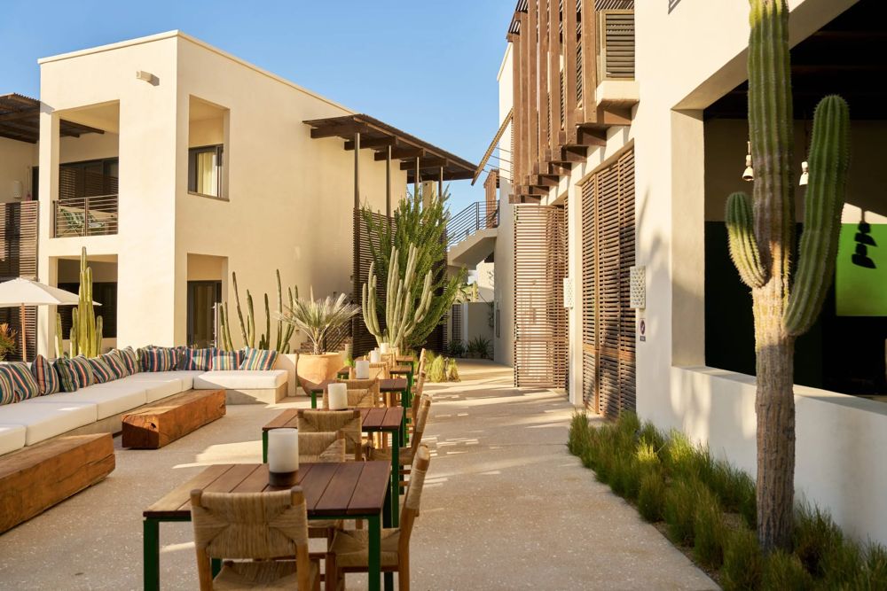 Benno (Hotel San Cristobal) - Regional Mexican / Mediterranean restaurant in Todos Santos / El Pescadero, Los Cabos