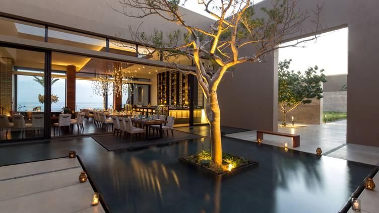 Cafe des Artistes - Mexican-French Fusion restaurant in San Jose del Cabo, Los Cabos