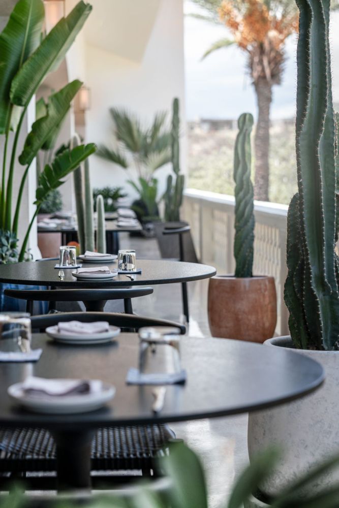 Clase Azul La Terraza - Fine Mexican + Tequila/Omakase restaurant in Tourist Corridor, Los Cabos
