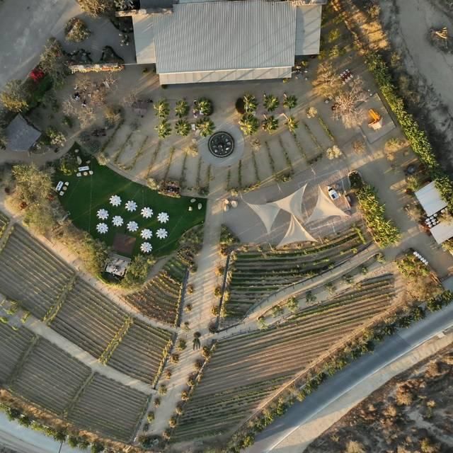 El Huerto - Organic Farm-to-Table (Mediterranean/Asian) restaurant in Cabo San Lucas, Los Cabos