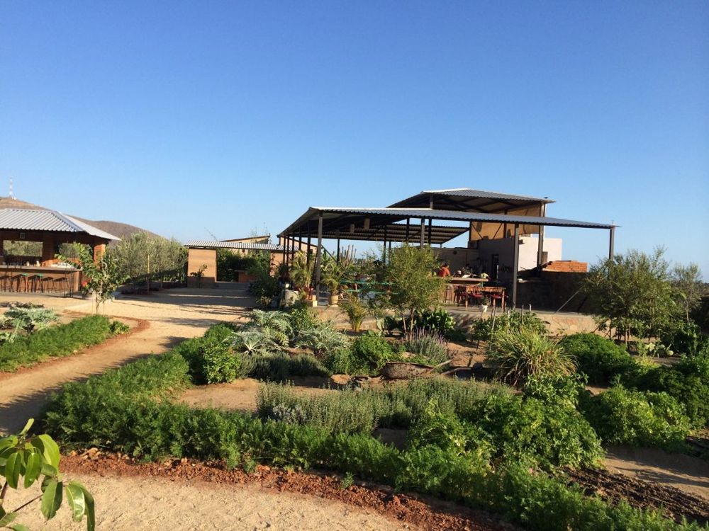 Hierbabuena - Organic Farm-to-Table restaurant in Todos Santos / El Pescadero, Los Cabos