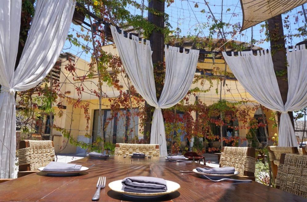Jazamango - Farm-to-Table / Baja restaurant in Todos Santos / El Pescadero, Los Cabos