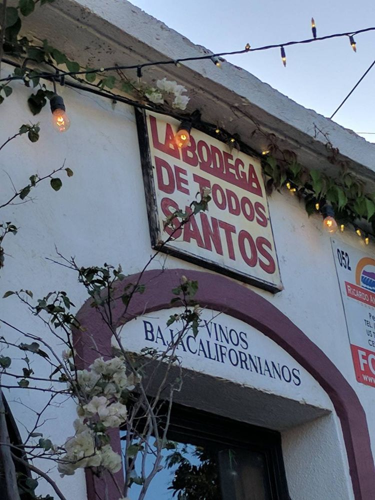 La Bodega de Todos Santos (wine tasting) - Wine Tasting / Wine Bar restaurant in Todos Santos / El Pescadero, Los Cabos