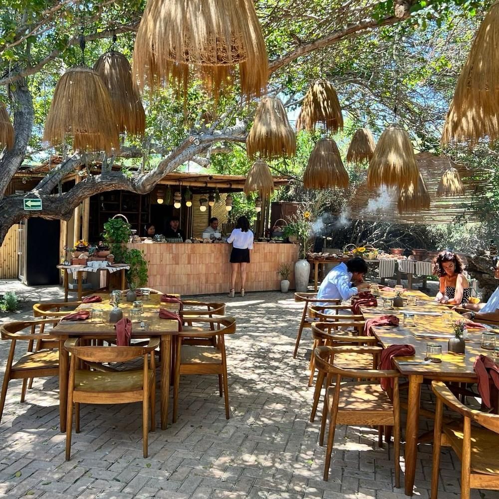 Semillon - Farm-to-Table restaurant in San Jose del Cabo, Los Cabos