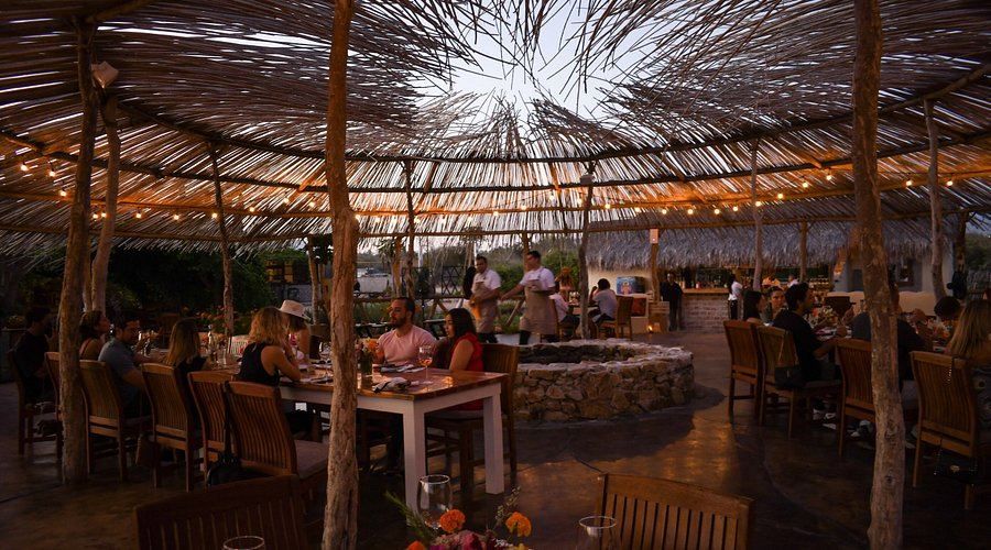 Siempre Viva - Organic Farm-to-Table restaurant in Todos Santos / El Pescadero, Los Cabos