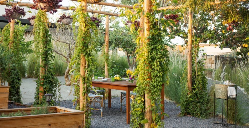 Zest - Fine Dining restaurant in Outside Los Cabos, Los Cabos