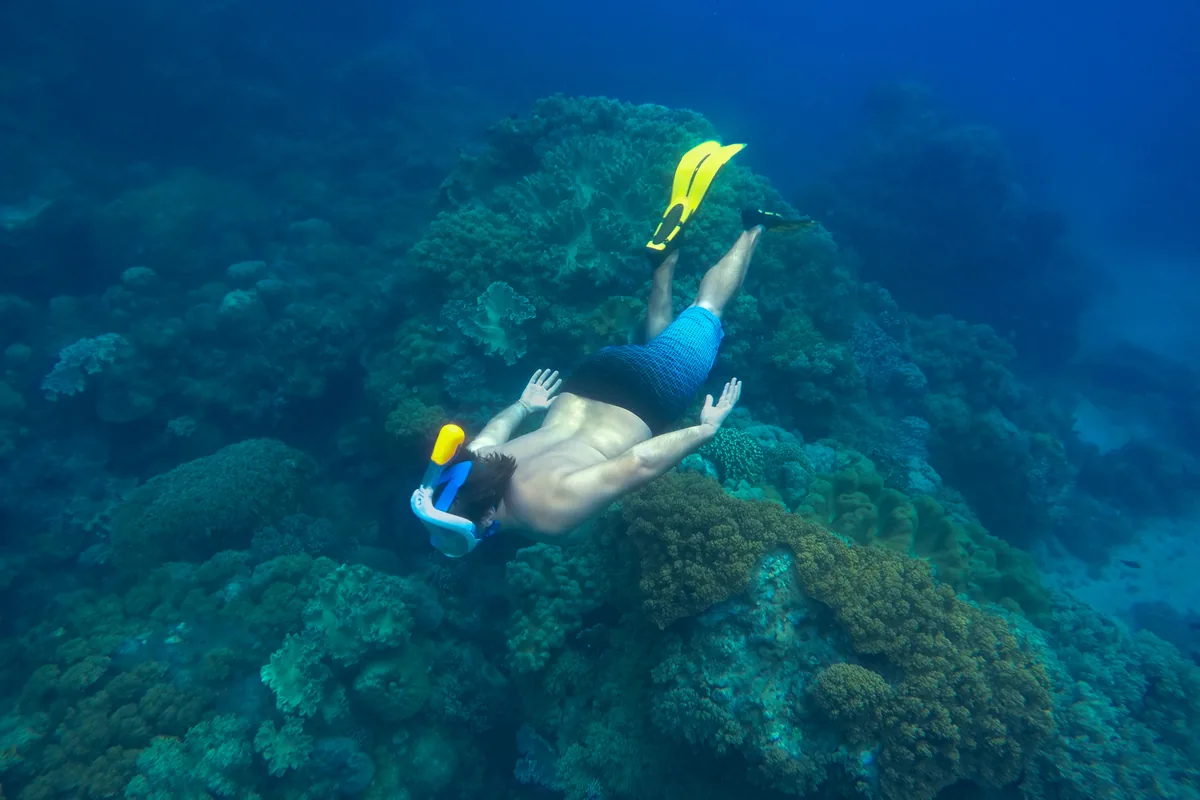 Snorkelling over the reef at El Bledito