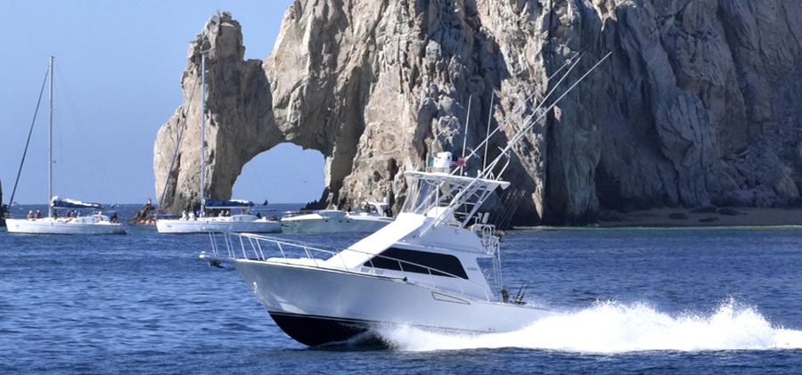 Bill Collector 2 — 35ft Cabo Flybridge sportfishing charter, Cabo San Lucas