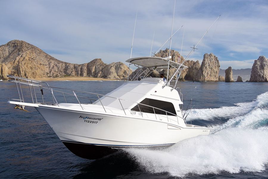 Bill Collector 3 — 35ft Cabo Flybridge sportfishing charter, Cabo San Lucas