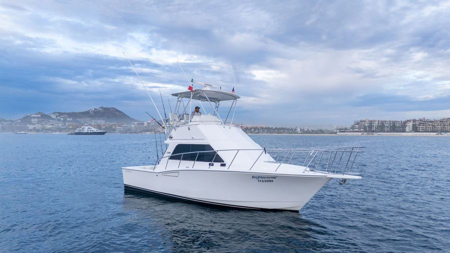 Bill Collector 4 — 35ft Cabo sportfishing charter, Cabo San Lucas