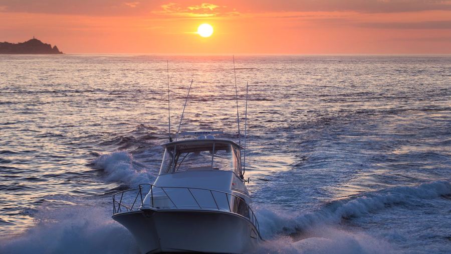 Hot Rod — 42ft Cabo Flybridge sportfishing charter, Cabo San Lucas