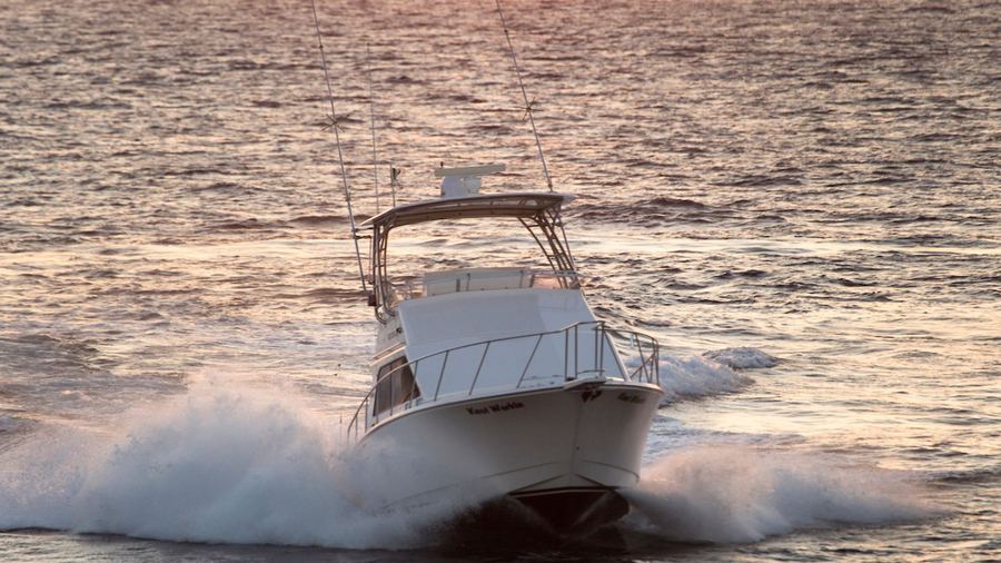 Knot Workin — 35ft Cabo Flybridge sportfishing charter, Cabo San Lucas