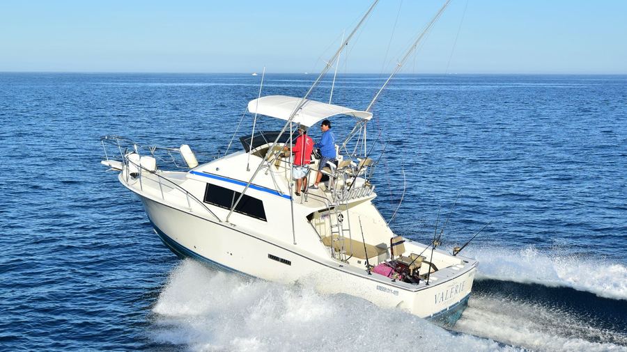 Valerie — 35ft Bertram sportfishing charter, Cabo San Lucas