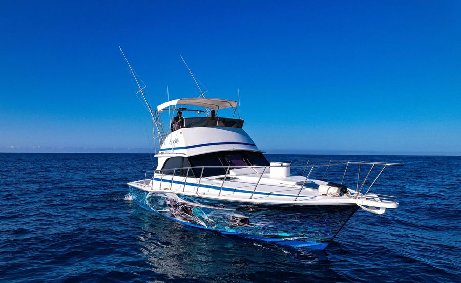 Yahoo — 42ft Bertram sportfishing charter, Cabo San Lucas