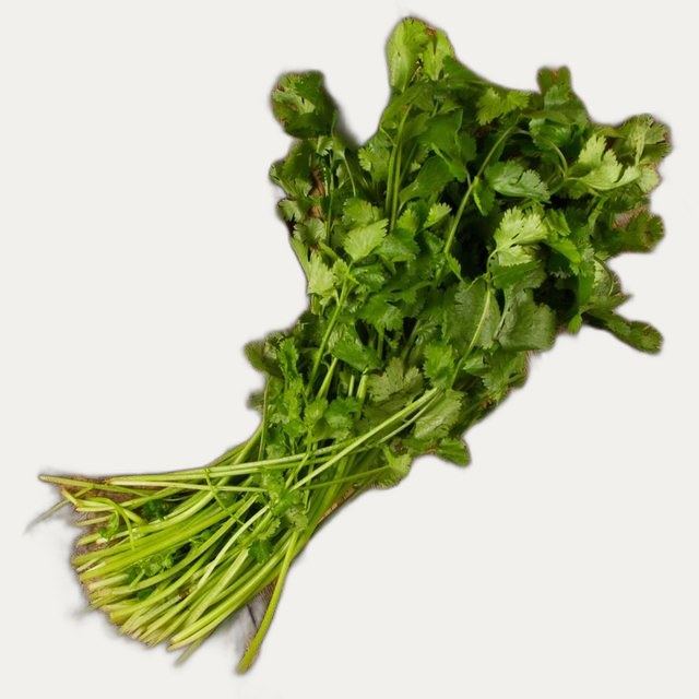 Fresh Cilantro Bunch - grocery delivery to your Los Cabos villa