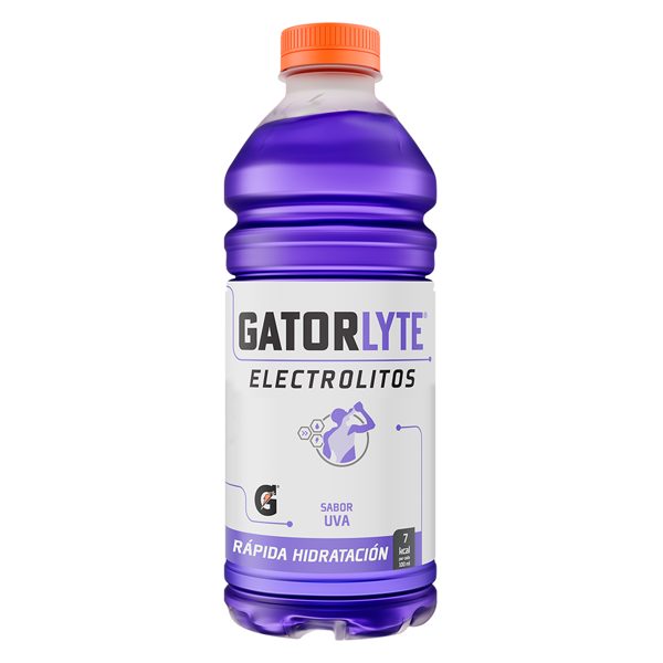 Gatorlyte Electrolyte Drink Grape 591 ml