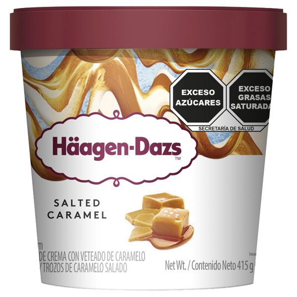 Häagen-Dazs Salted Caramel Ice Cream 473 ml