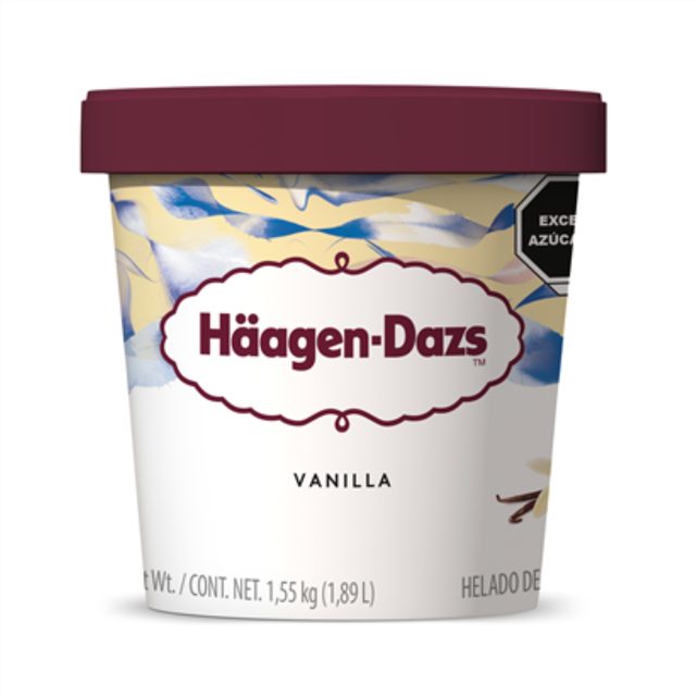 Haagen Dazs Vanilla Ice Cream 650 ml