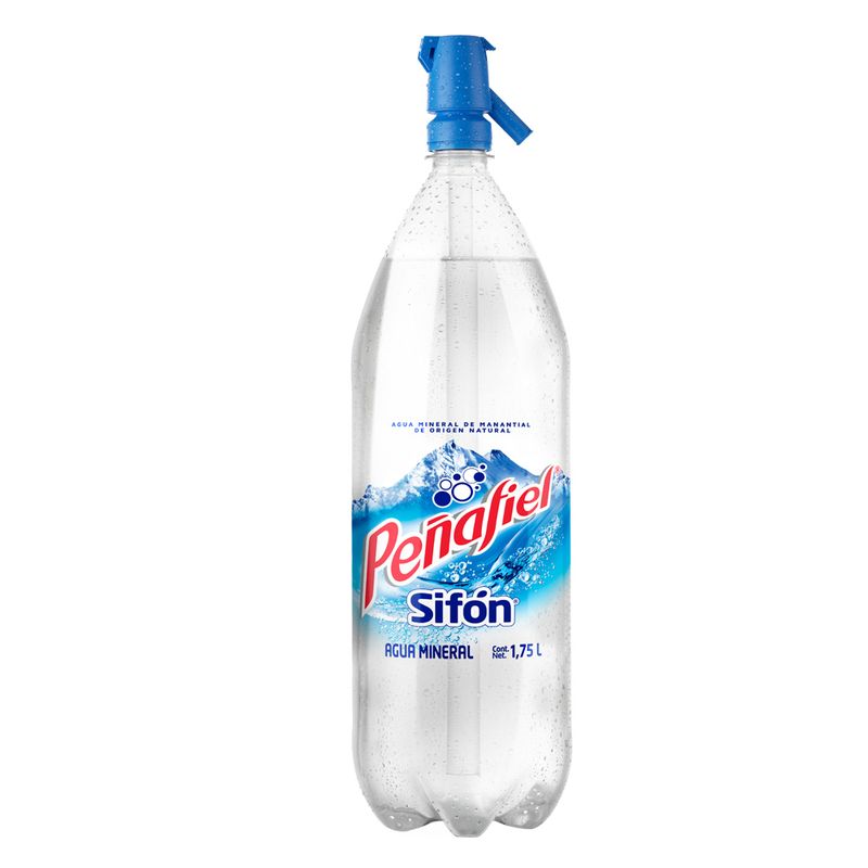 Penafiel Sparkling Mineral Water 1.75 L (Mixer)