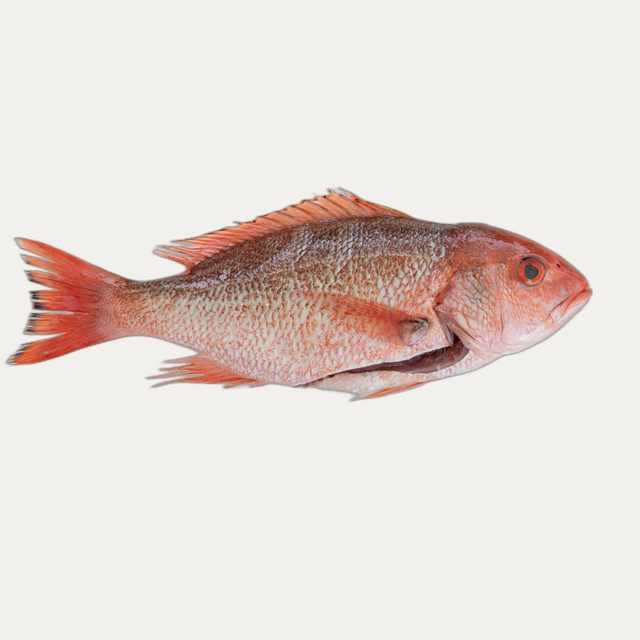 Red Snapper Piece - grocery delivery to your Los Cabos villa