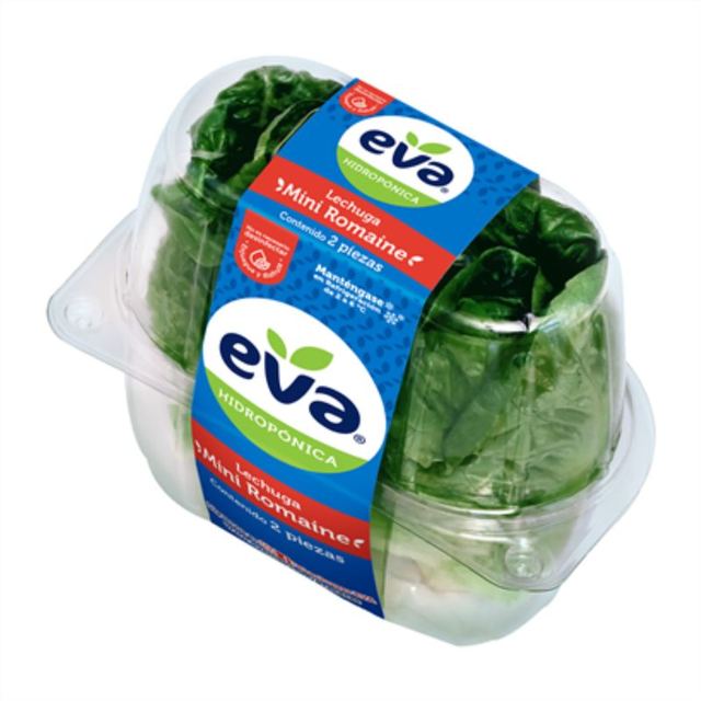 Romaine Lettuce - grocery delivery to your Los Cabos villa