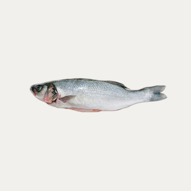 Seabass Whole Fish (Robalo) 1 kg